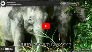 持続可能な世界動画 持続可能な世界動画