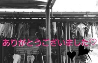 ひっとべ！バンバンin霧島☆ありがとうございました☆ 2018/12/17 20:05:48