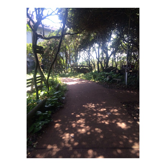 絶景 薩摩富士 in頴娃町 絶景 薩摩富士 in頴娃町