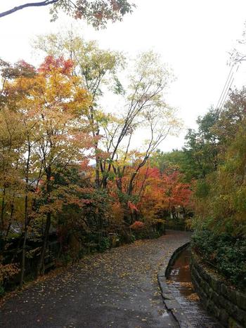 最高のタイミング。