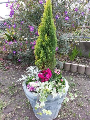 お花のお歳暮。