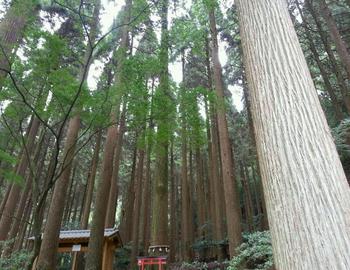 一気に秋めいて。