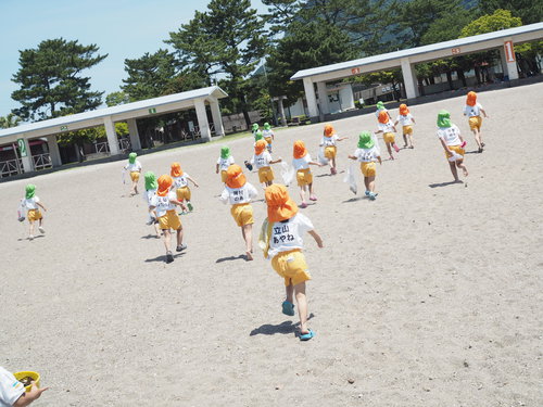 年中さくら・すみれ組*5月 園外保育*