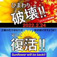 ひまわり破壊!! 2022/11/13 12:40:59