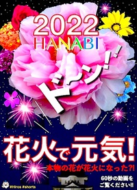 元気が出る 2022シン花火 2021/12/31 19:31:54
