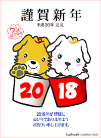 2018 スタート!! 2017/12/30 17:26:04