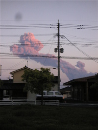 2011年04月29日