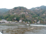 桜前線を追いかけて 2