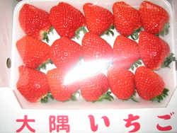 立派!