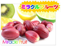 ダイエットの味方になる?
