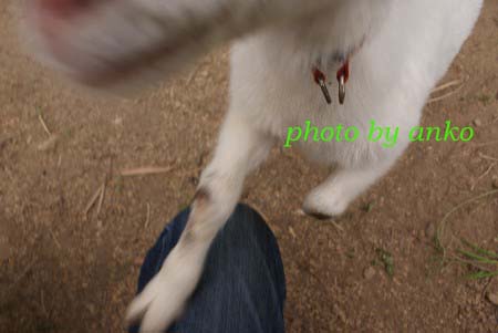 この動物なーんだ？