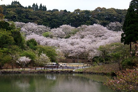 観音ヶ池・・・・