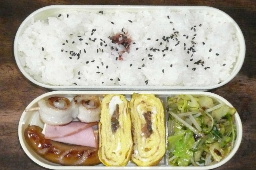 紬・・・です。。。。＆　お弁当♪