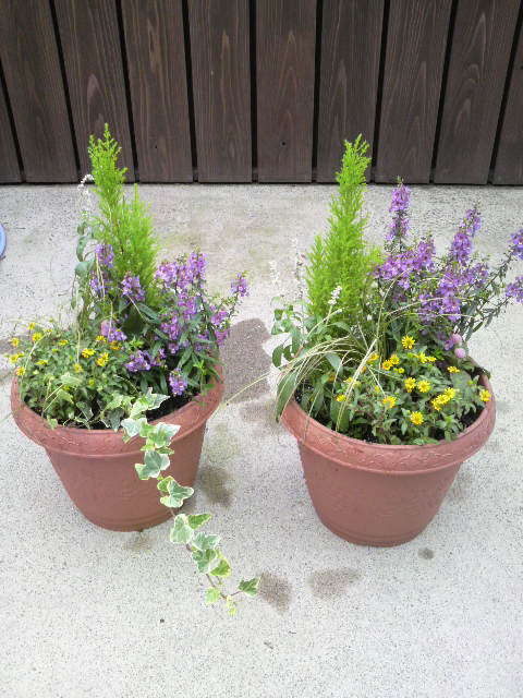 寄せ植え講座