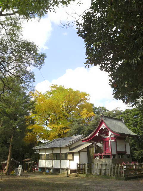お散歩