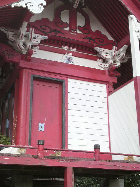 お散歩