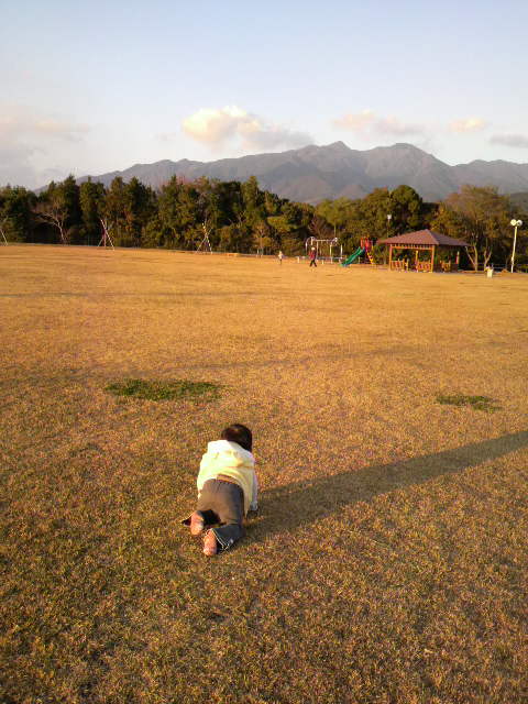 道。