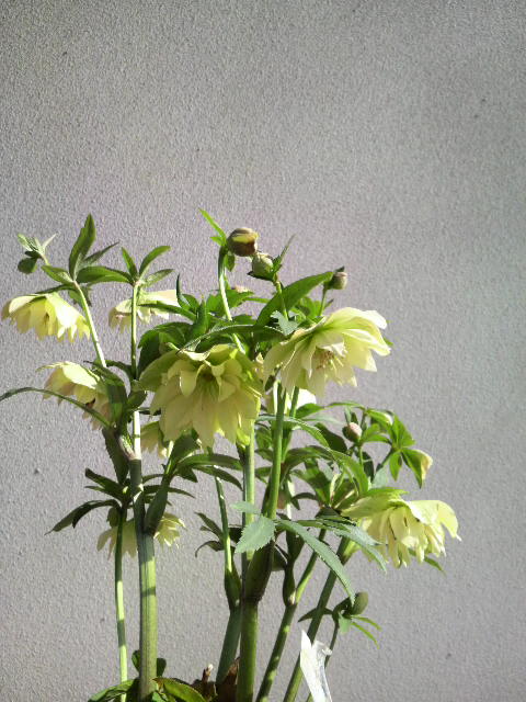 春は大忙し。