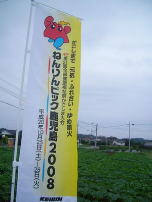 ねんりんピック鹿児島2008