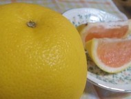 元気出していきましょう~