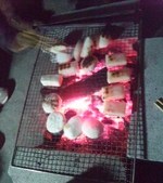 今日の色は・・