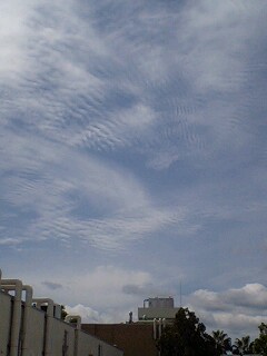 鰯雲