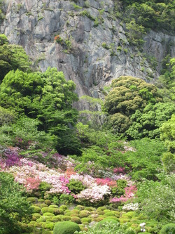 佐賀の御船山楽園へ