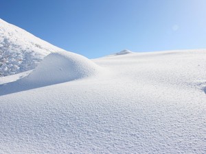 新雪の夢/カラー鹿児島