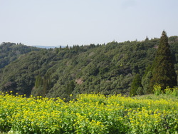 鹿児島県日置市いいところです/カラー鹿児島