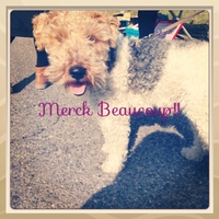 Merci beauoup!!