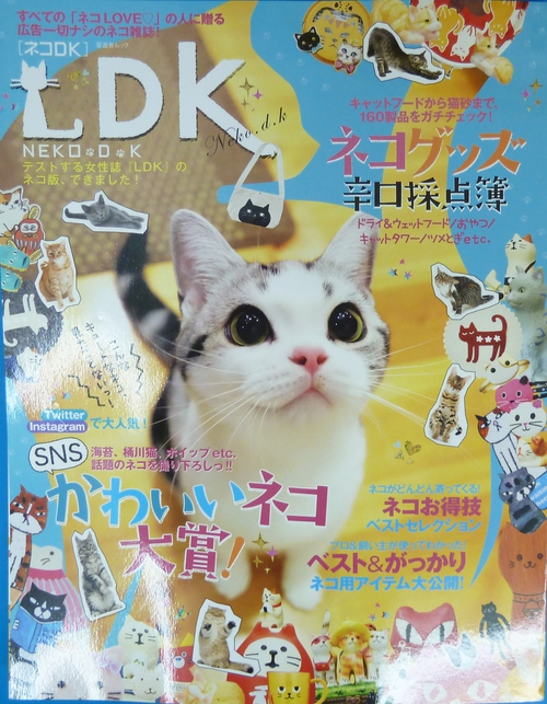 ねこ　グッズ採点