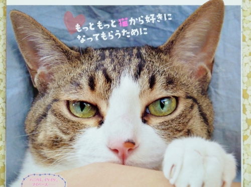 猫 から 愛される 本