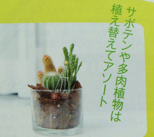 100円ショップ　傑作品