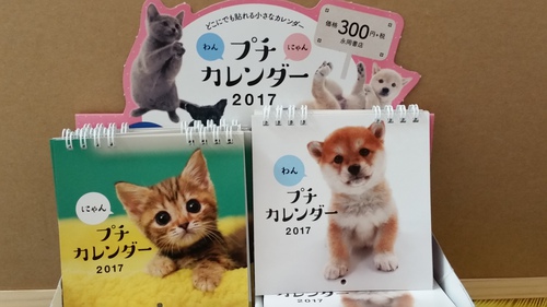 早々　年賀状