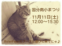 2017年11月06日