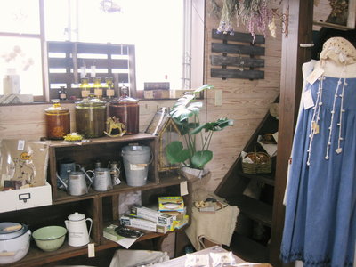 第16回出店者のご紹介【cacao】