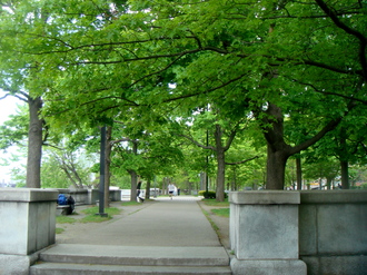 第９０回〜ねこライフ in boston〜