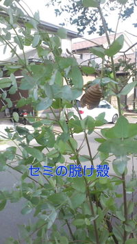 *８月の定休日*