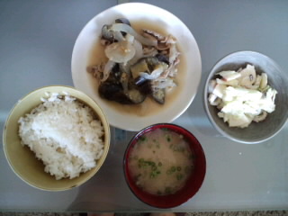 *お昼ご飯*