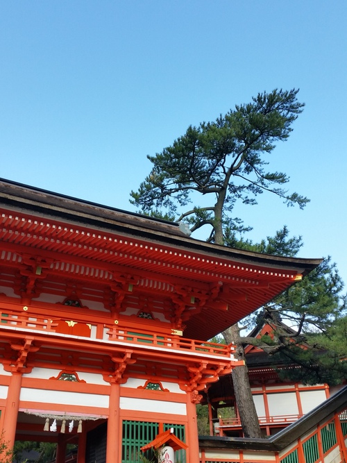 元旦の朝。 元旦の朝。
