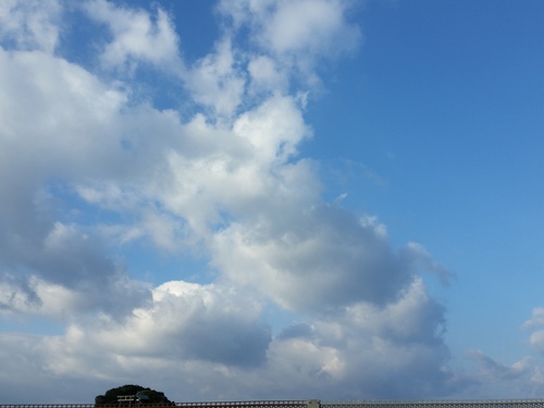 元旦の朝。 元旦の朝。