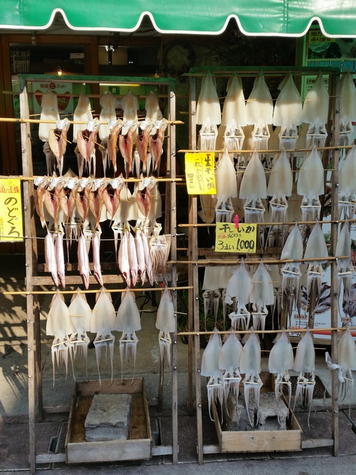 元旦の朝。 元旦の朝。