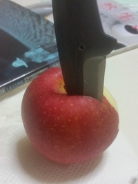 月暮らし 2015/11/14 06:57:27