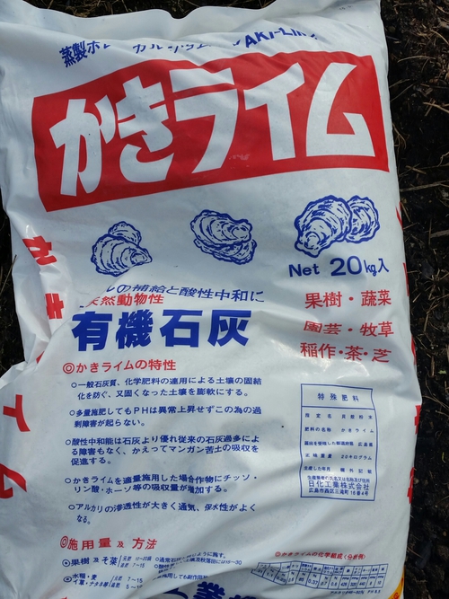 小麦を蒔く。 小麦を蒔く。