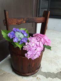 芒種　大安の日に。 2016/06/05 23:05:01