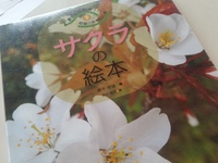 啓蟄　けいちつ。