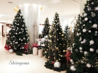 2013年11月29日