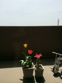 2014年04月04日