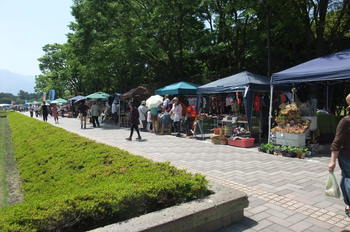 花かごしまマーケットへのご来場ありがとうございました! 花かごしまマーケットへのご来場ありがとうございました!