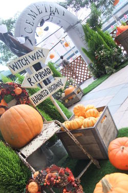 ハロウィンマルシェ、ありがとうございました! ハロウィンマルシェ、ありがとうございました!